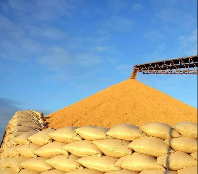 亞洲缺集裝箱將導致歐洲“米荒”？